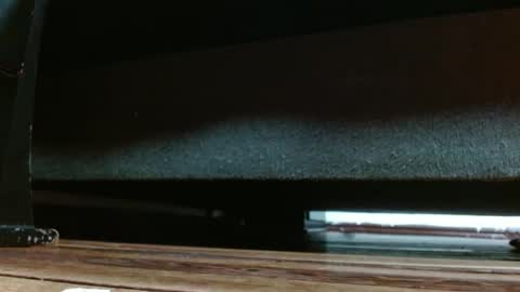 Miss samy online show from 5, 2, 2025