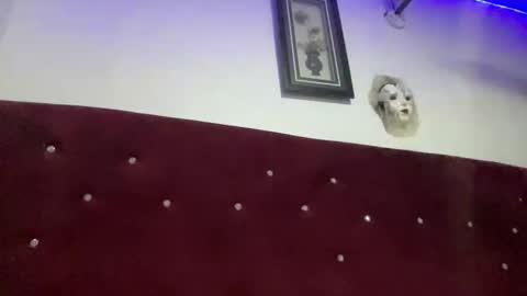 Snapshot of missbellerina chatting on 28, 2, 2026 Missbelle online show from 28, 2, 2026