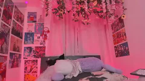 Vane online show from 11, 7, 2026