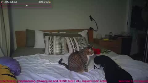 missemmbeex online show from 2, 3, 2026