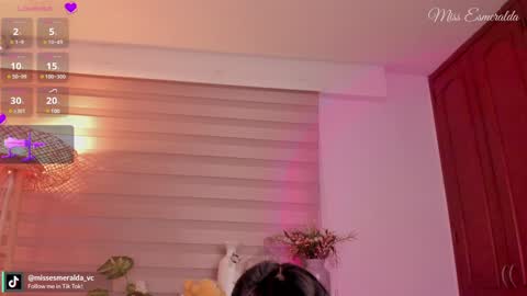 Snapshot of missesmeralda chatting on 13, 1, 2025 Julieta Arboleda but i like call me esme online show from 13, 1, 2025