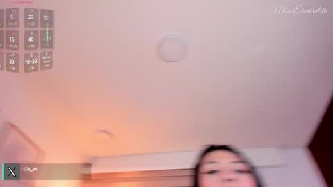 Snapshot of missesmeralda chatting on 26, 2, 2025 Julieta Arboleda but i like call me esme online show from 26, 2, 2025