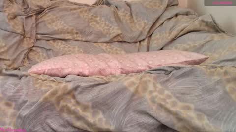  Vi  online show from 19, 2, 2026