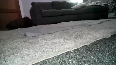 misterycouple12 online show from 23, 12, 2024