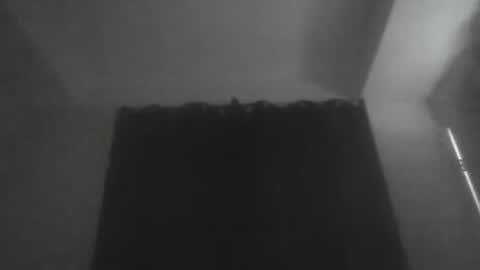 modelstar123 online show from 13, 3, 2026