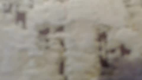 Mohito200711 online show from 12, 9, 2025