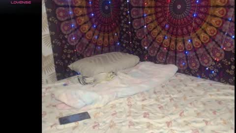 Snapshot of molli3mil3s chatting on 11, 9, 2025 molli3mil3s online show from 11, 9, 2025