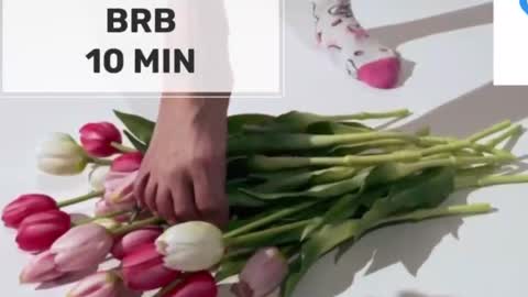 Mommy online show from 17, 2, 2026