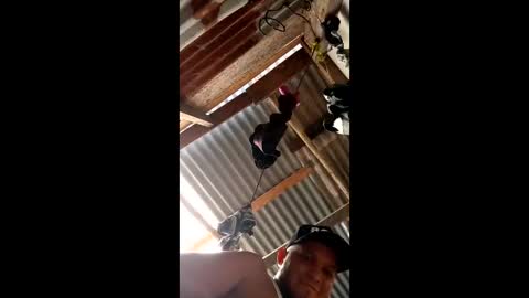 monosqui13 online show from 3, 2, 2026