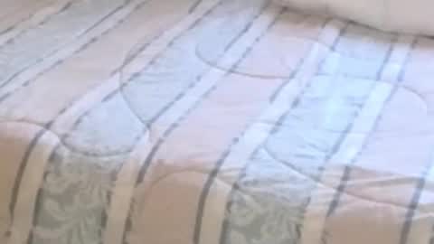 montydxxx2 online show from 12, 2, 2026