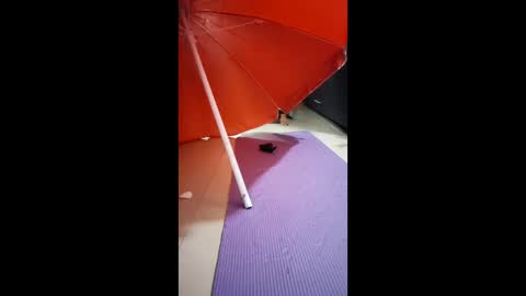 Snapshot of morbucksrica chatting on 15, 2, 2026 morbucksrica online show from 15, 2, 2026