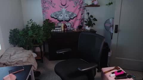 Mousie online show from 27, 2, 2026