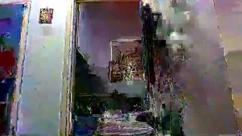 mppempis81 online show from 20, 12, 2025