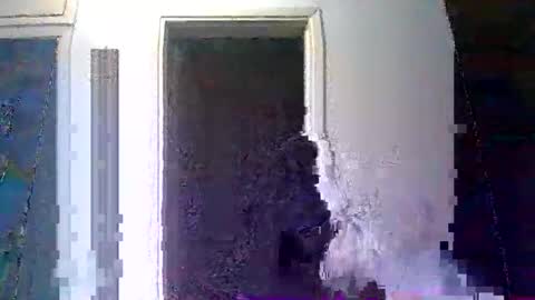 mppempis81 online show from 10, 1, 2026