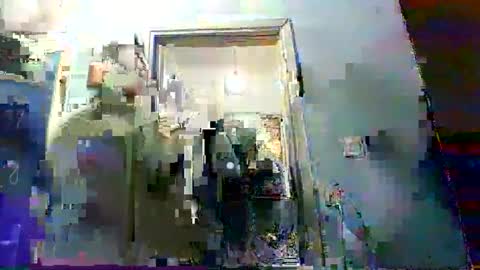 mppempis81 online show from 3, 2, 2026