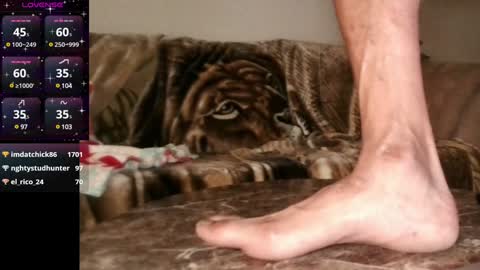 Mr. Good and Ms. Plenty online show from 9, 12, 2024