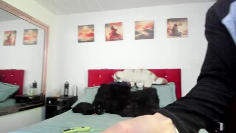 Snapshot of mr_andresr chatting on 23, 12, 2024 Andy online show from 23, 12, 2024