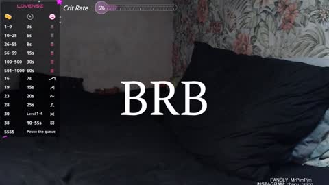 Snapshot of mr_pim_2_0 chatting on 29, 12, 2024 Nikita ------------- online show from 29, 12, 2024