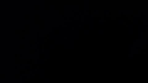 mrbillxxx online show from 14, 4, 2026