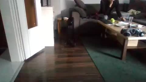 Snapshot of mrhandsomelovee chatting on 17, 2, 2025 Nikola online show from 17, 2, 2025