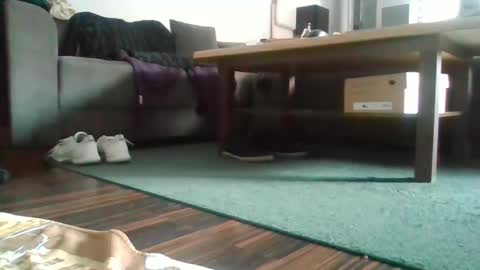 Snapshot of mrhandsomelovee chatting on 27, 2, 2025 Nikola online show from 27, 2, 2025