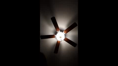 Snapshot of mrorange50187 chatting on 18, 12, 2024 mrorange50187 online show from 18, 12, 2024