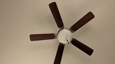 Snapshot of mrorange50187 chatting on 8, 1, 2025 mrorange50187 online show from 8, 1, 2025