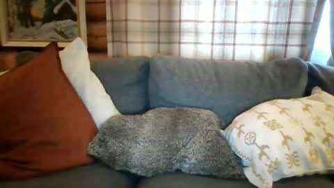 Snapshot of mrpornstar33 chatting on 27, 3, 2026 Twinsoulsex online show from 27, 3, 2026