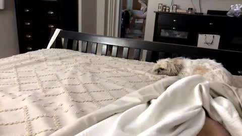 Snapshot of mrrogue chatting on 1, 11, 2025 mrrogue online show from 1, 11, 2025