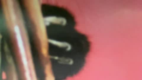 msduss351 online show from 2, 2, 2025