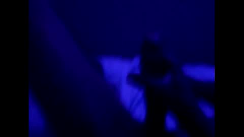 Snapshot of mt220 chatting on 16, 12, 2024 mt220 online show from 16, 12, 2024