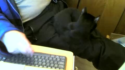 muller520 online show from 2, 3, 2025