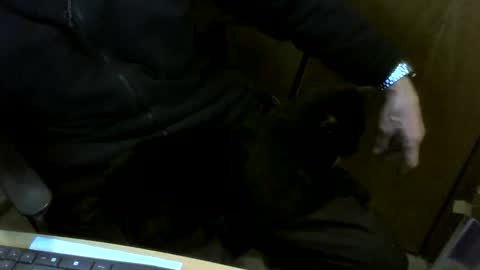 muller520 online show from 10, 2, 2026