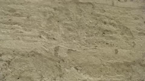 Mullty online show from 18, 12, 2024