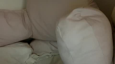 Snapshot of munchi_ chatting on 29, 12, 2024 online show from 29, 12, 2024