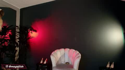 Snapshot of my_maite chatting on 21, 2, 2026 Maite online show from 21, 2, 2026