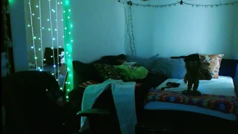 Snapshot of mycock4u247 chatting on 16, 2, 2025 LA MARIPOSA DE MARICOPA online show from 16, 2, 2025