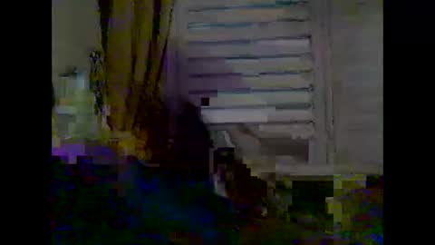 mycockissohard2021 online show from 2, 5, 2026