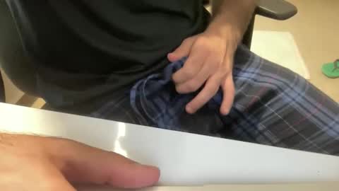 myStallion online show from 8, 11, 2025