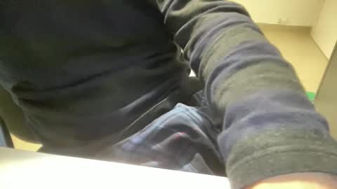 myStallion online show from 11, 2, 2026