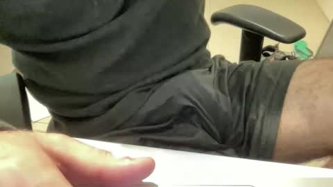 myStallion online show from 23, 2, 2026