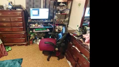 Snapshot of mysteryblue62 chatting on 7, 3, 2025 Mystery Blue and Mistress Prude online show from 7, 3, 2025