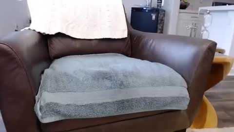 Lynn online show from 10, 11, 2025