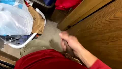 nairda2senoniuq online show from 5, 12, 2024