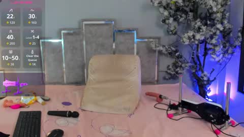 nalapalmer online show from 21, 7, 2026