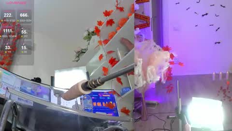 INSTAGRAM     bekkercat  online show from 6, 11, 2025