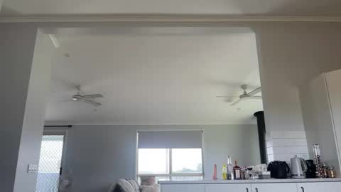 naomirhoades online show from 6, 3, 2025