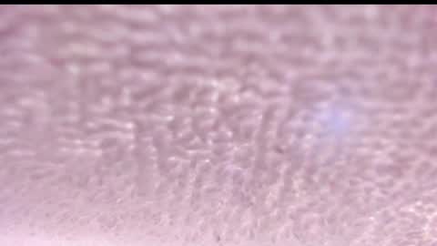 Snapshot of natalia_collinslim chatting on 4, 12, 2024 Natalia online show from 4, 12, 2024