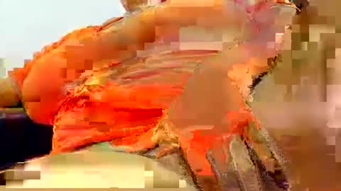 natasha_klaus1 online show from 23, 10, 2025