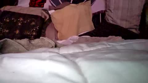 Haven online show from 14, 4, 2026